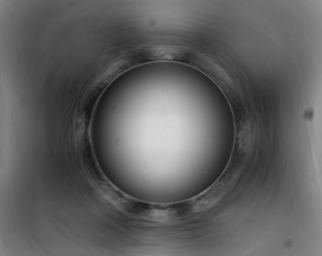 X0000101660314200807101300