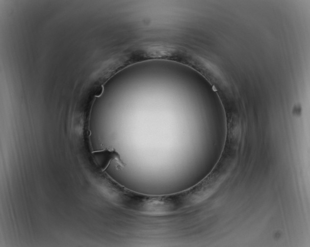 X0000101660315200807101300