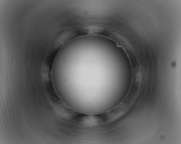 X0000101660316200807101300