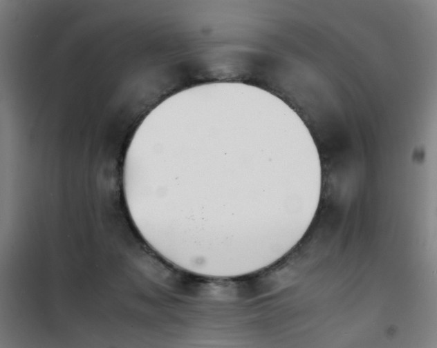 X0000101660317200807101300