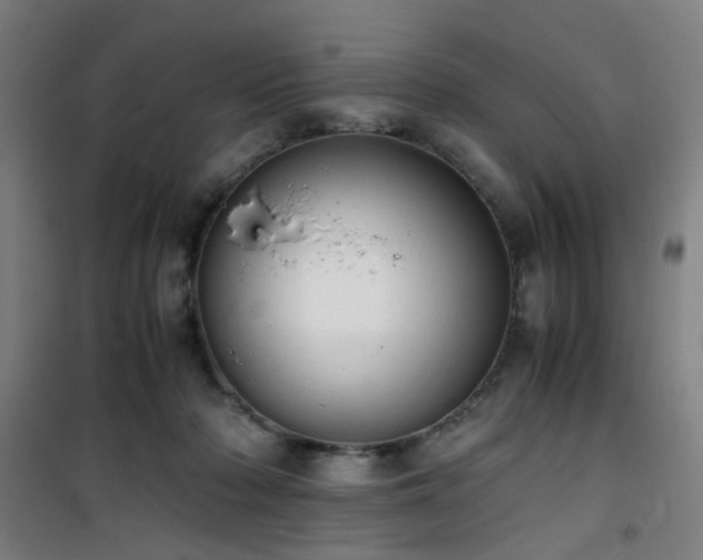 X0000101660318200807101300