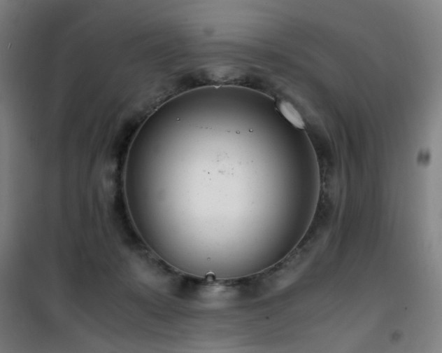 X0000101660319200807101300