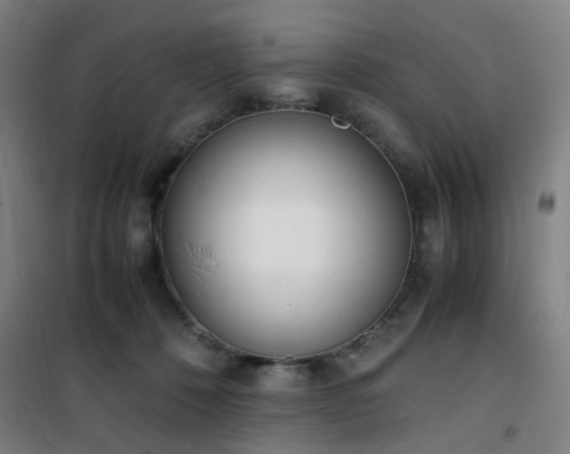 X0000101660320200807101300