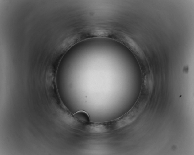 X0000101660322200807101300