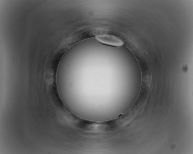 X0000101660323200807101300