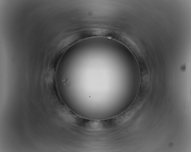 X0000101660325200807101300