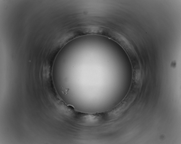 X0000101660326200807101300