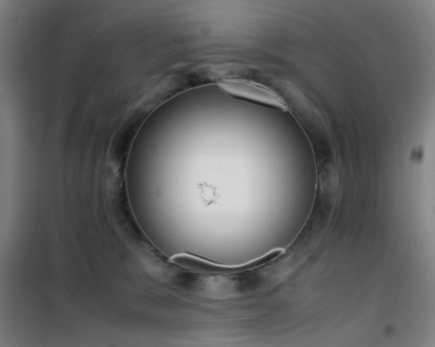 X0000101660327200807101300