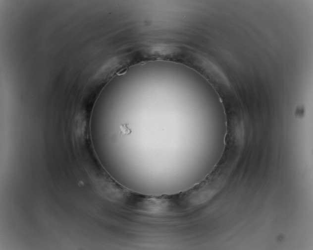 X0000101660328200807101300