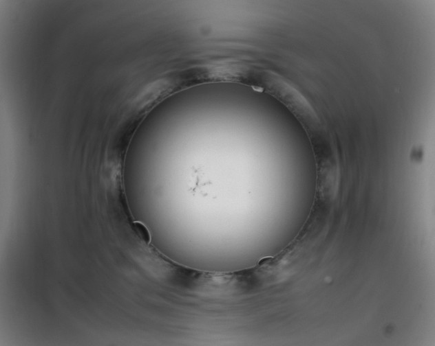 X0000101660329200807101300