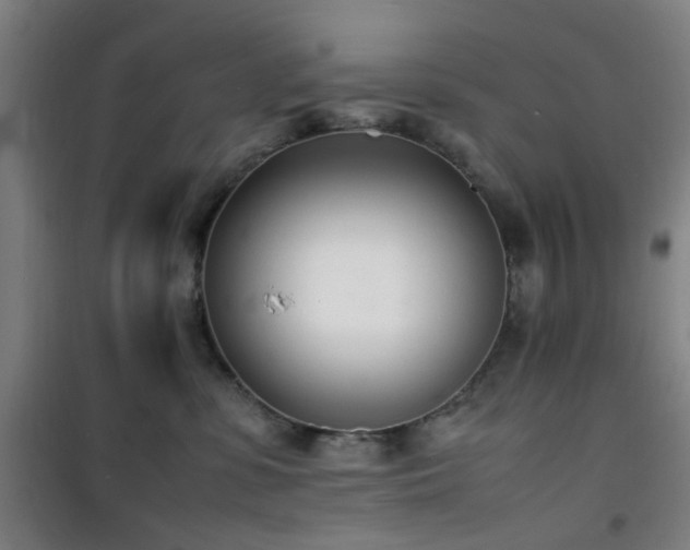 X0000101660331200807101300