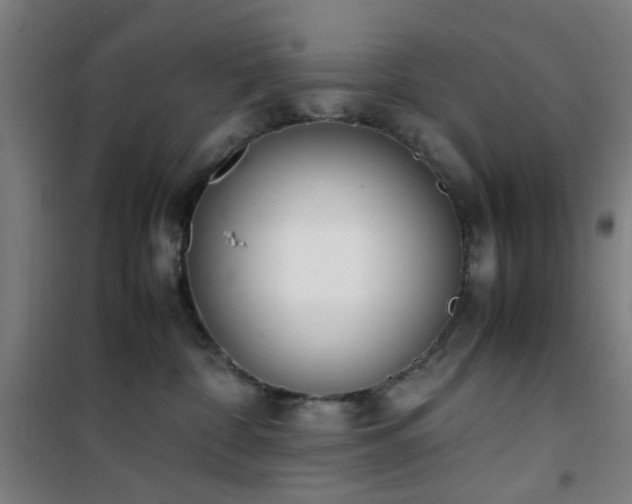 X0000101660332200807101300