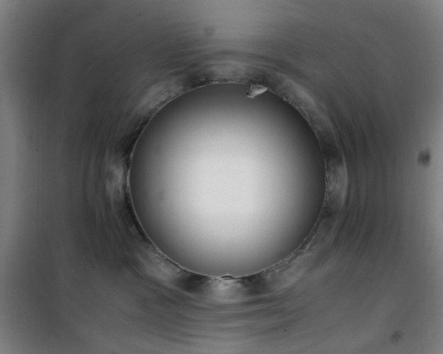 X0000101660333200807101300