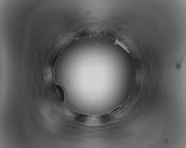 X0000101660335200807101300