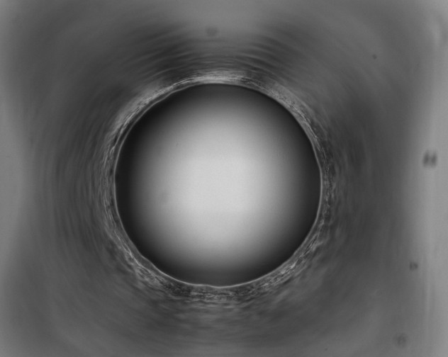 X0000101660337200807101259