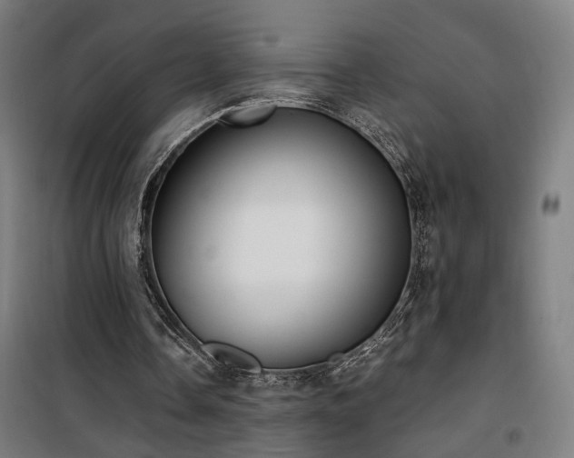 X0000101660338200807101259