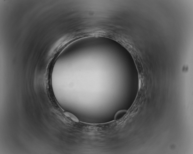 X0000101660339200807101259