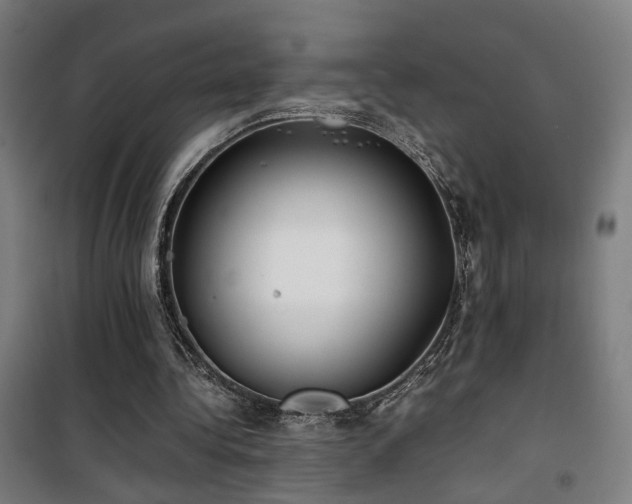 X0000101660340200807101259