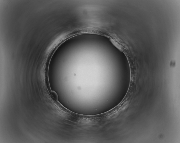 X0000101660341200807101259