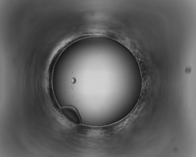 X0000101660342200807101259