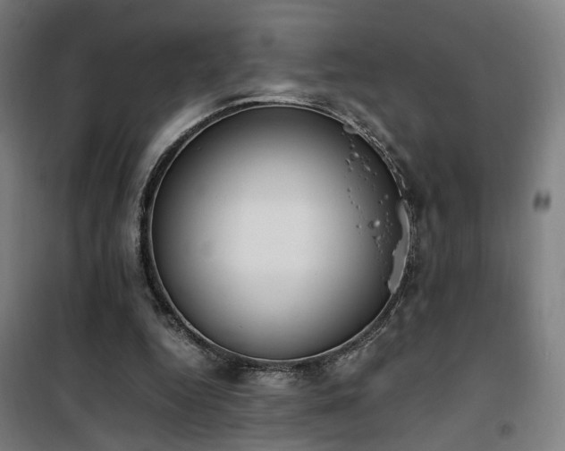 X0000101660344200807101259