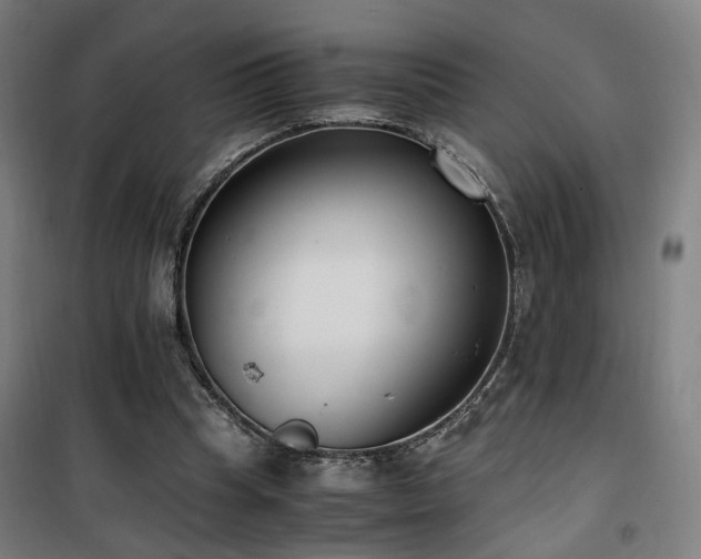 X0000101660345200807101259