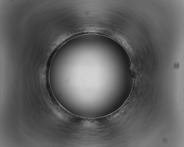 X0000101660346200807101259