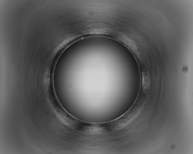 X0000101660348200807101259