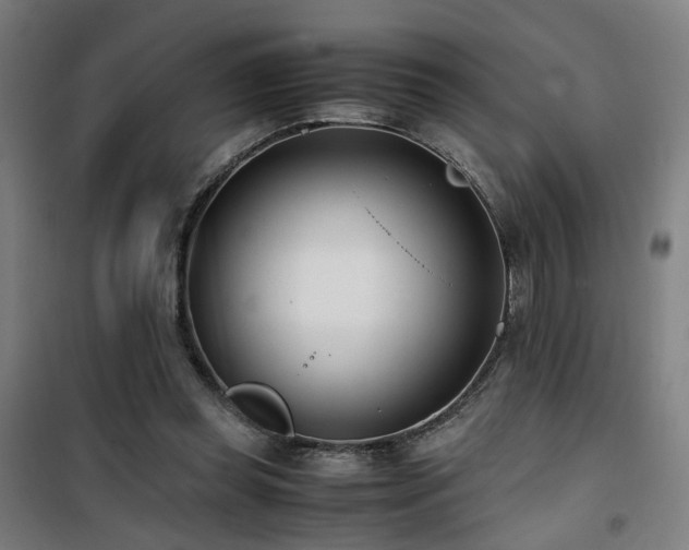 X0000101660349200807101259