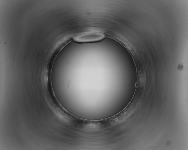 X0000101660350200807101259