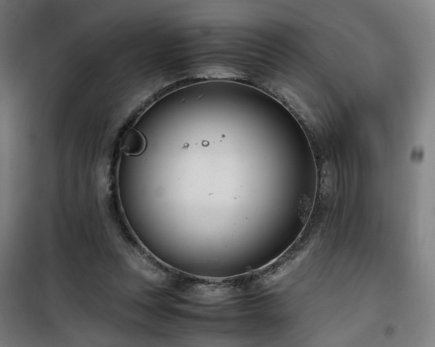 X0000101660351200807101259