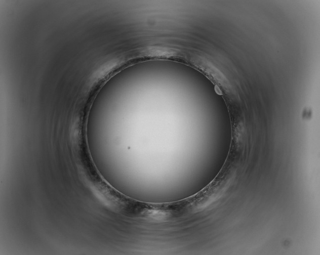 X0000101660352200807101259