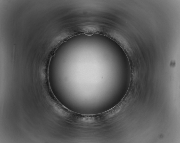 X0000101660353200807101259