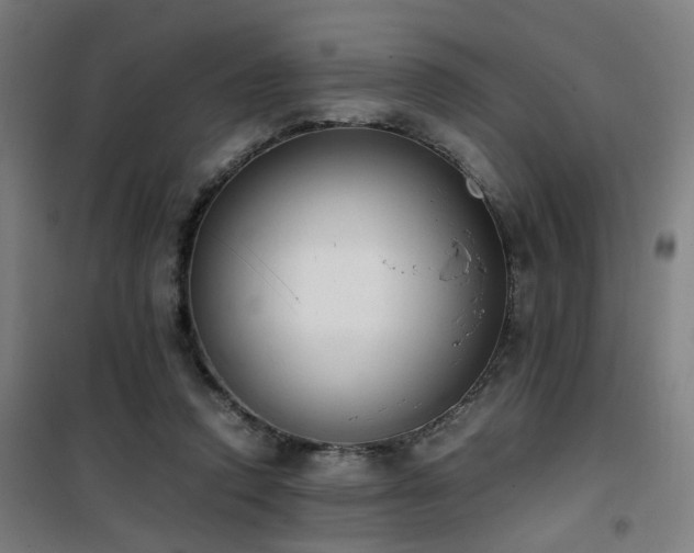 X0000101660354200807101259