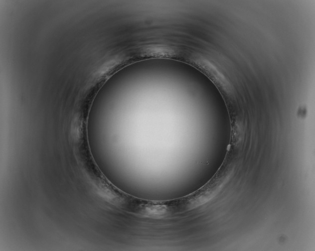 X0000101660355200807101259