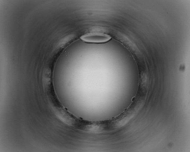 X0000101660356200807101259