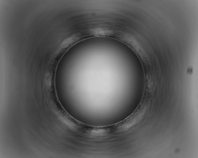 X0000101660357200807101259