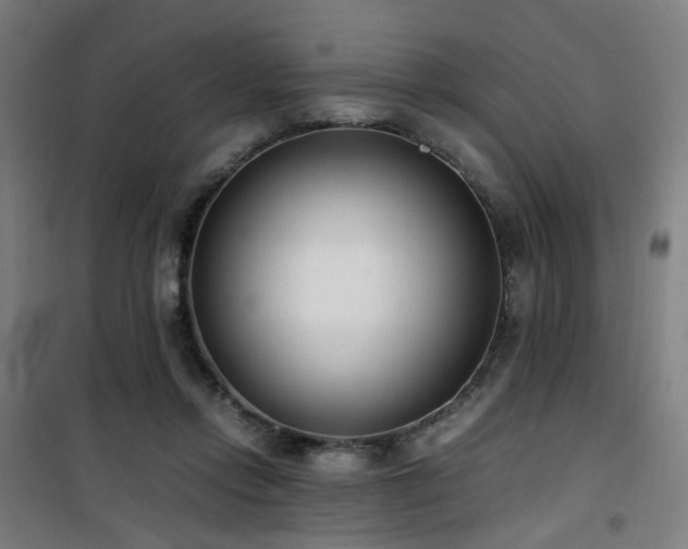 X0000101660358200807101259