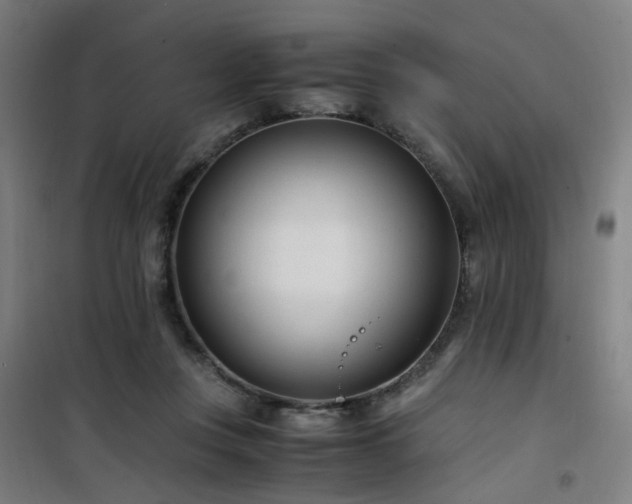 X0000101660359200807101259