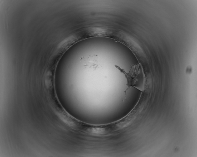 X0000101660361200807101259