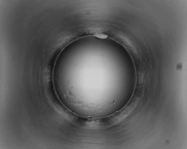 X0000101660362200807101259