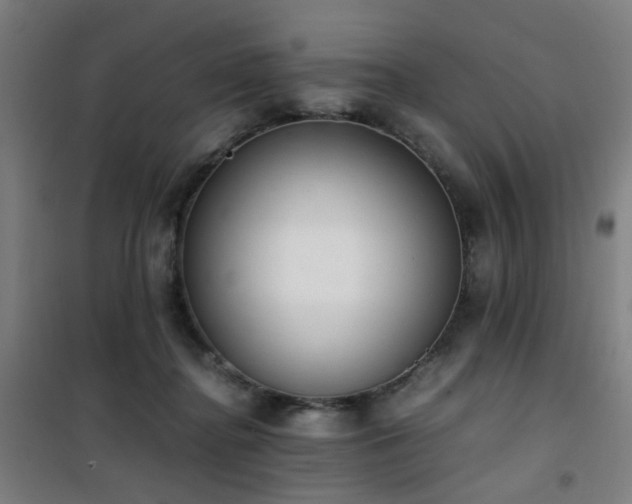 X0000101660364200807101259