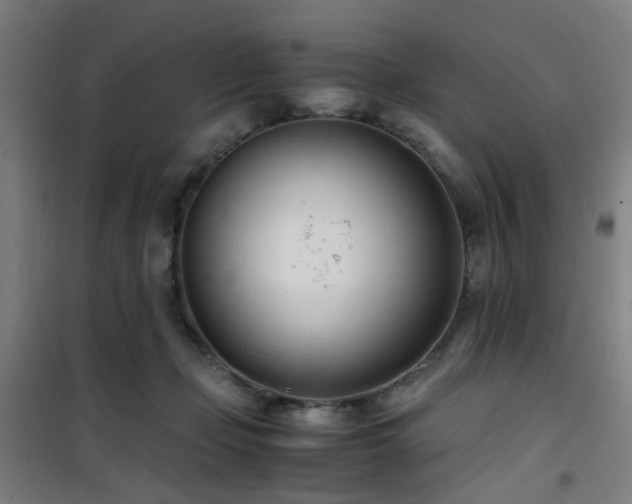 X0000101660365200807101259