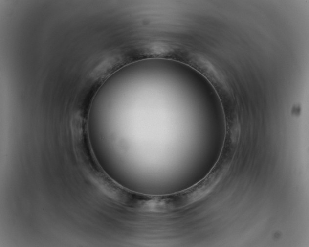 X0000101660366200807101259