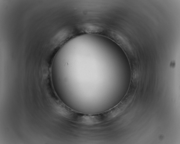 X0000101660367200807101259