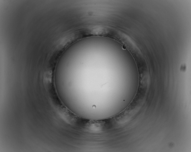 X0000101660368200807101259