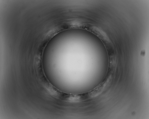 X0000101660369200807101259