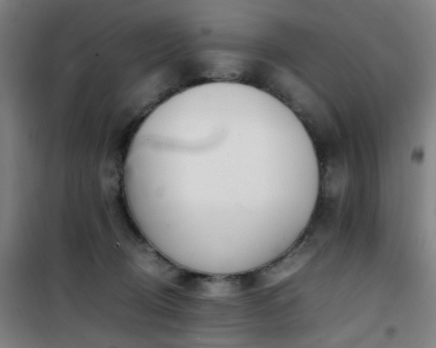 X0000101660370200807101259