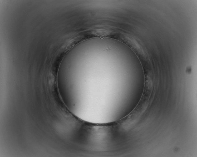 X0000101660371200807101300