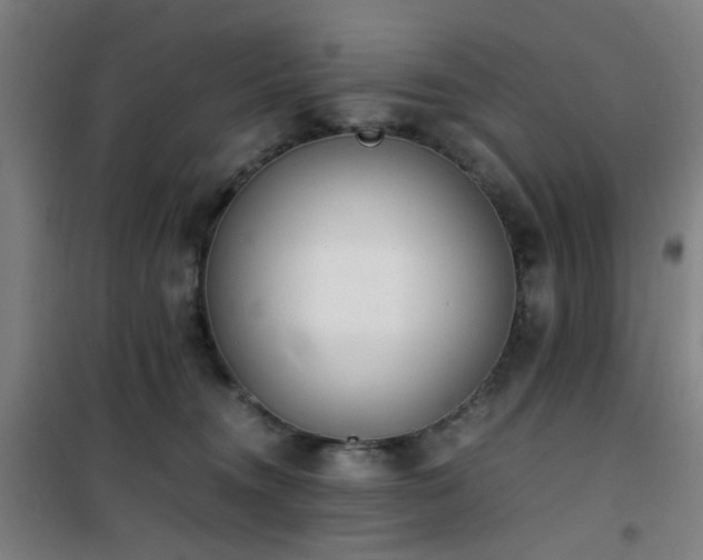 X0000101660372200807101300